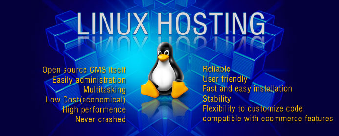 Web Hosting Linux